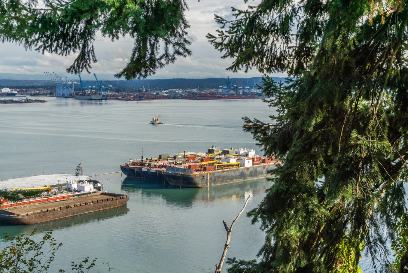 Why Local MSP Services Deliver Better Value for Pacific Northwest Businesses