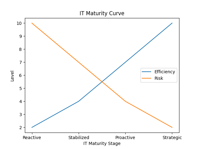 Understanding how proactive it matures small business IT and technology over time. 