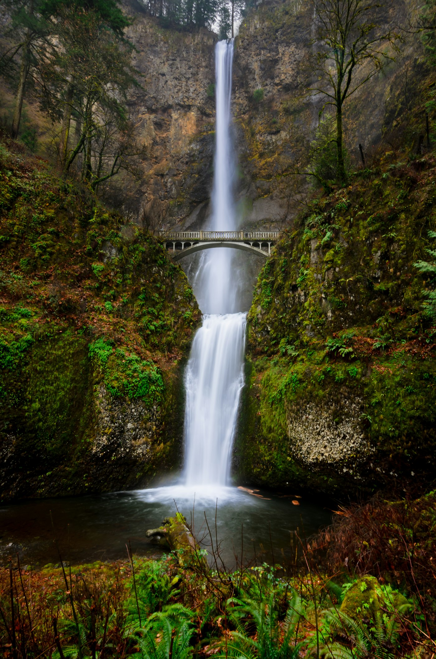 Multnomah Falls and Benson Bridge in the Columbia River Gorge, surrounded by moss and evergreen forest